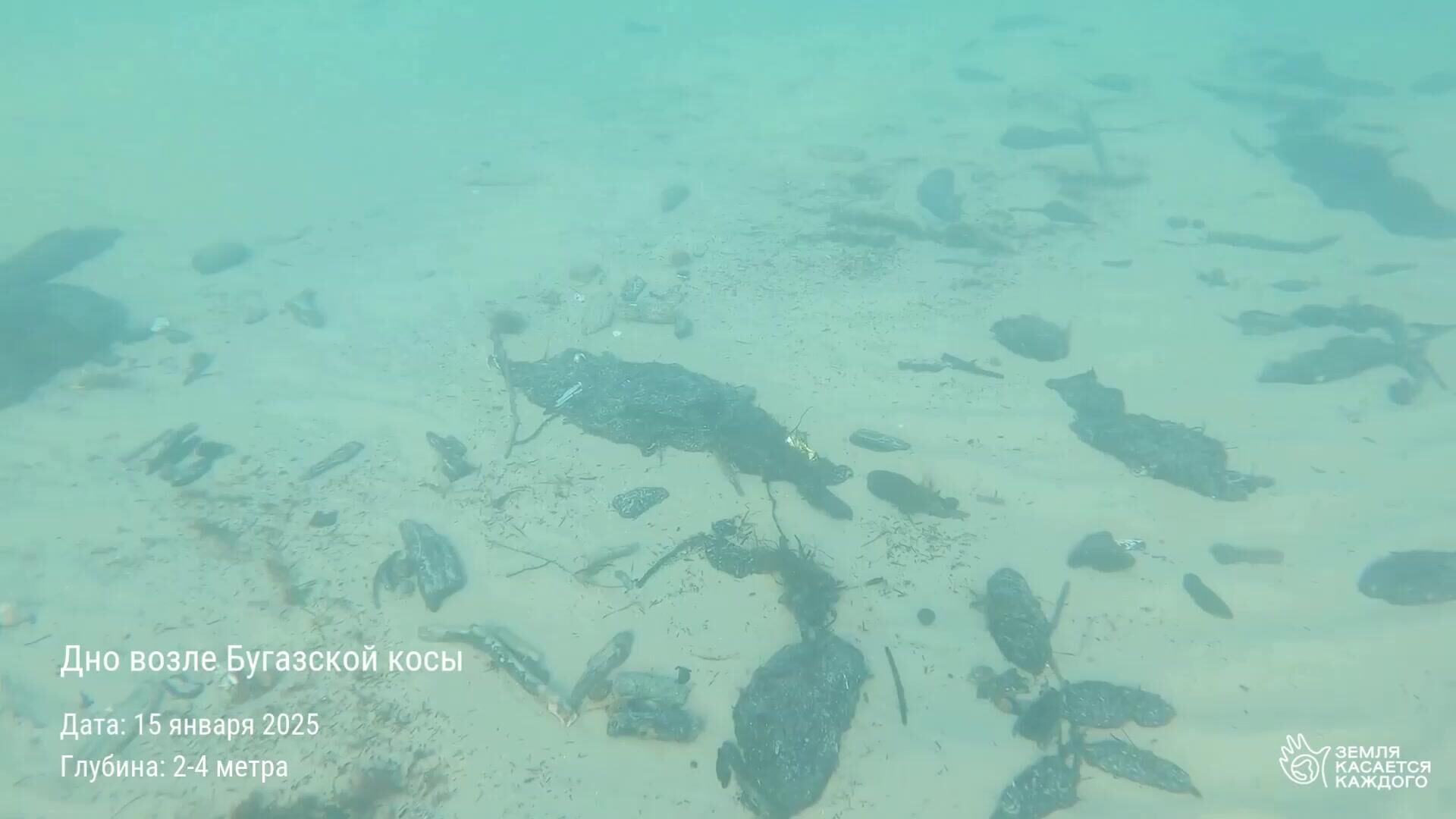 Кадры со дна Черного моря в районе Анапы, на которых видны фракции мазута - РИА Новости, 1920, 17.01.2025