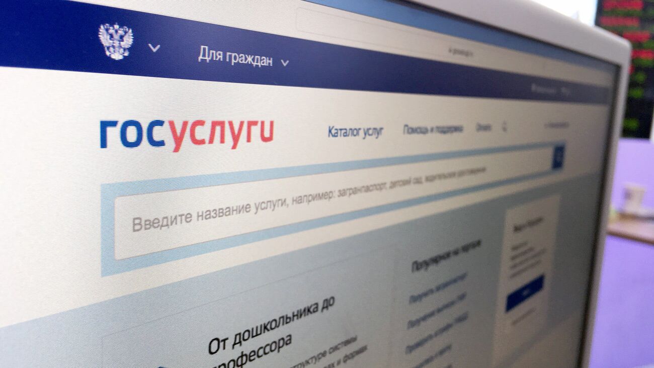 Официальный интернет-портал государственных услуг - РИА Новости, 1920, 10.02.2025